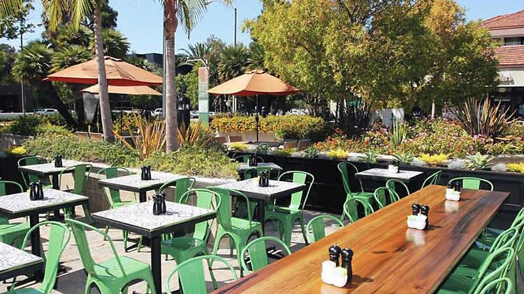 Jackson Hole Restaurants Offer Local Elk and Bison Dishes